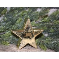 02.565.14 CHRISTMAS зірка золото